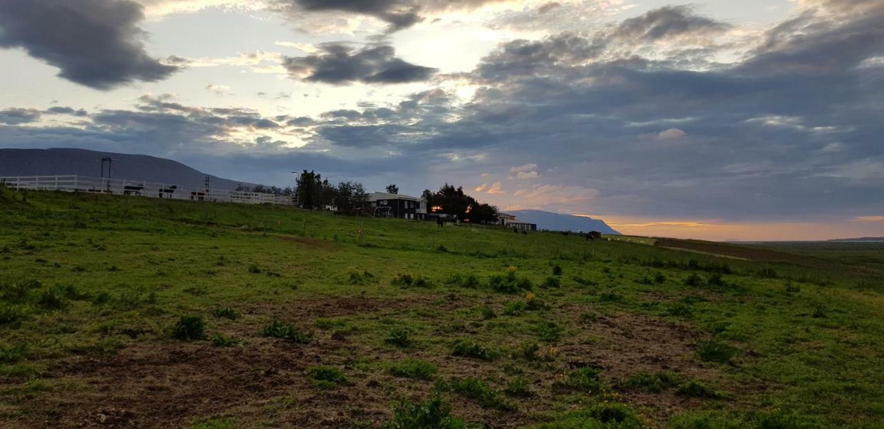 Karuna Guesthouse Saudarkrokur Dış mekan fotoğraf