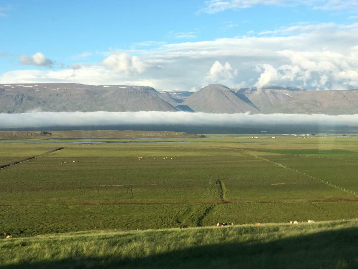 Karuna Guesthouse Saudarkrokur Dış mekan fotoğraf